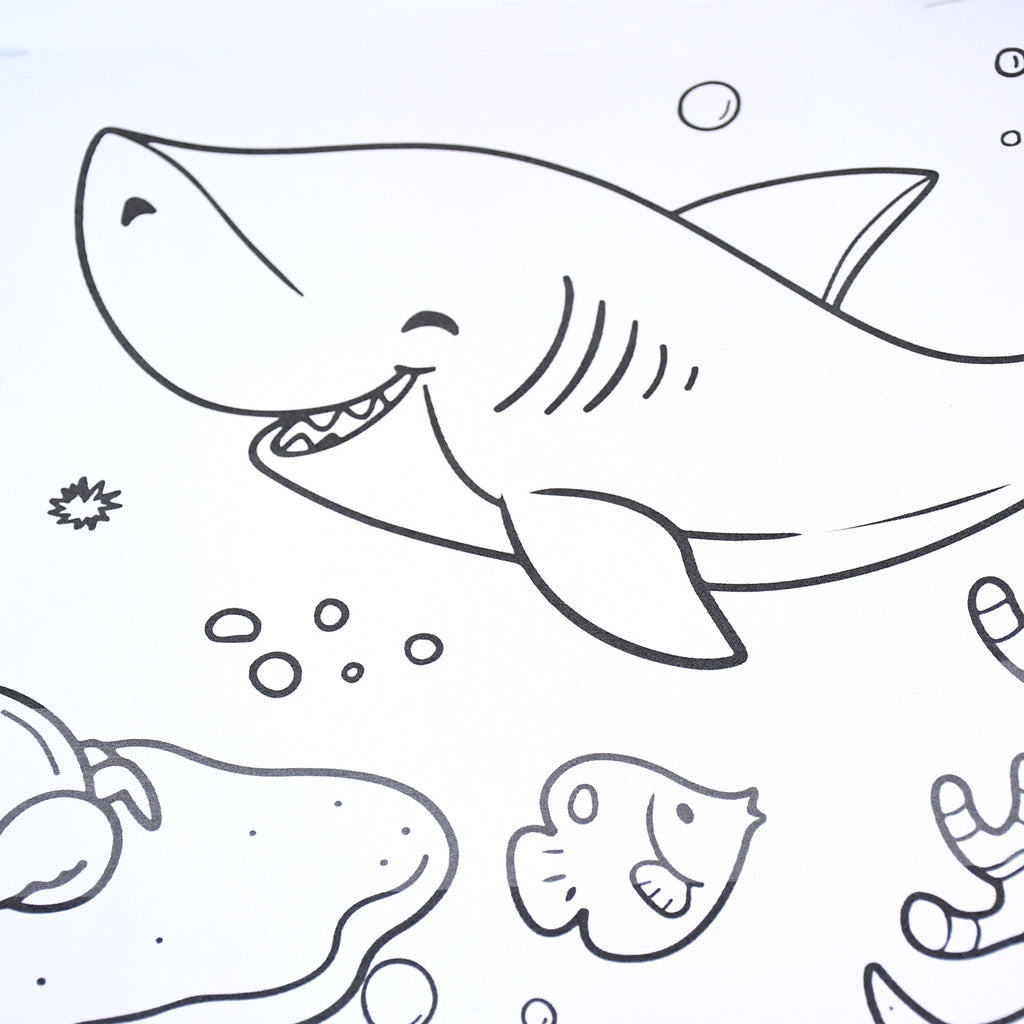 Fun And Educational Coloring Roll (1 Pc)